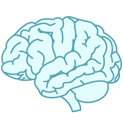 SyncSoft AI — Expert Data Annotation & RLHF Services